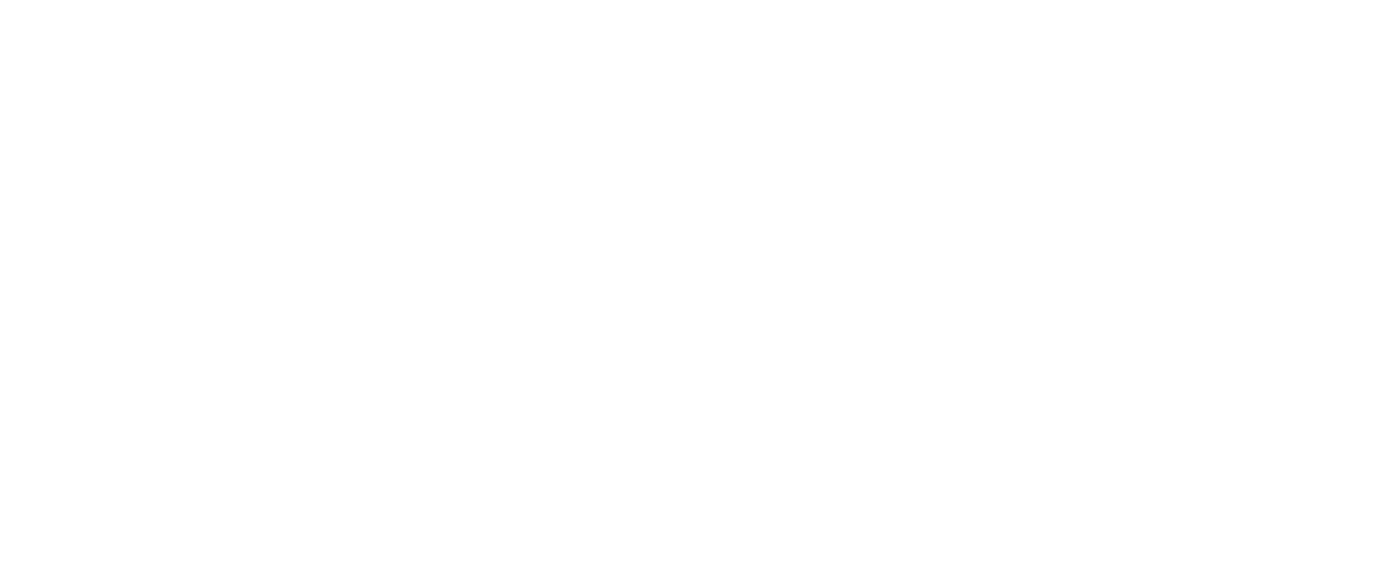 VYS